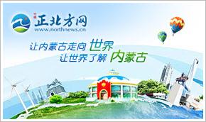 烏海市發放航空旅游補貼，助力旅行社與票務代理發展