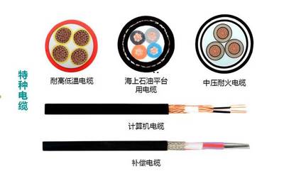 【會(huì)員風(fēng)采】| 名優(yōu)聯(lián)盟副會(huì)長(zhǎng)單位鑫電電纜28年電纜專(zhuān)家,創(chuàng)造美好生活!